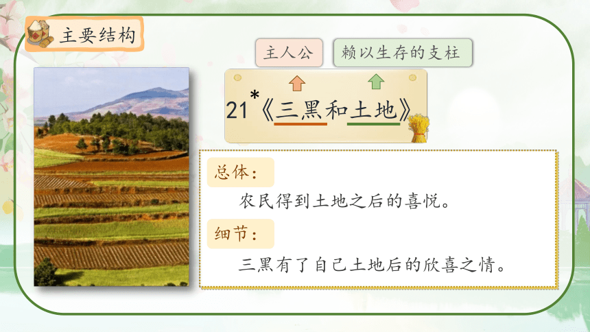 21《三黑和土地》教学课件