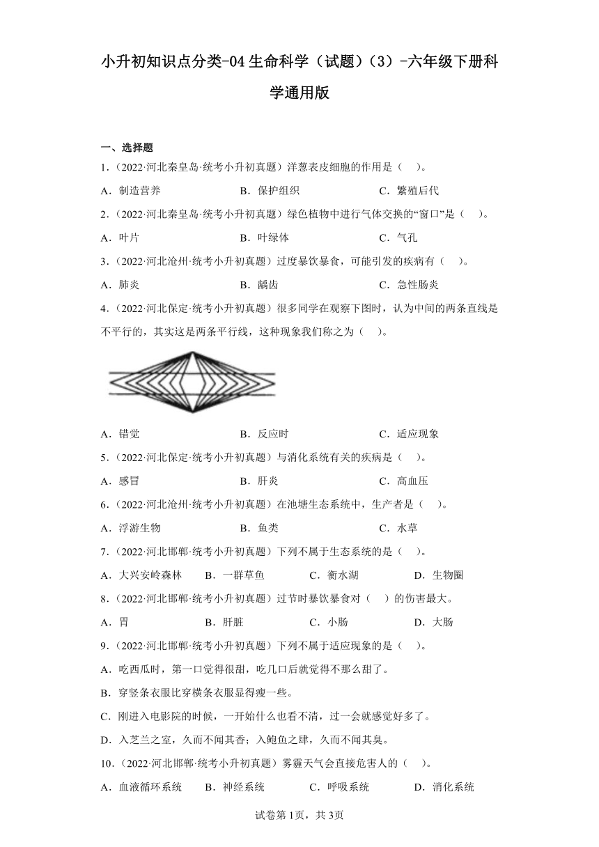 小升初知识点分类-04生命科学（试题）（3）-六年级下册科学通用版（含解析）