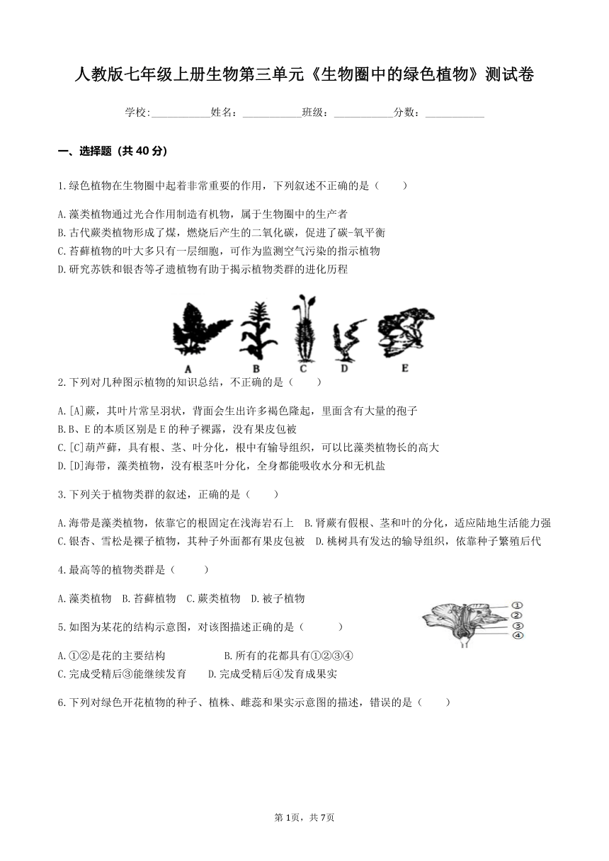 人教版七年级上册生物第三单元《生物圈中的绿色植物》测试卷（Word版含答案）