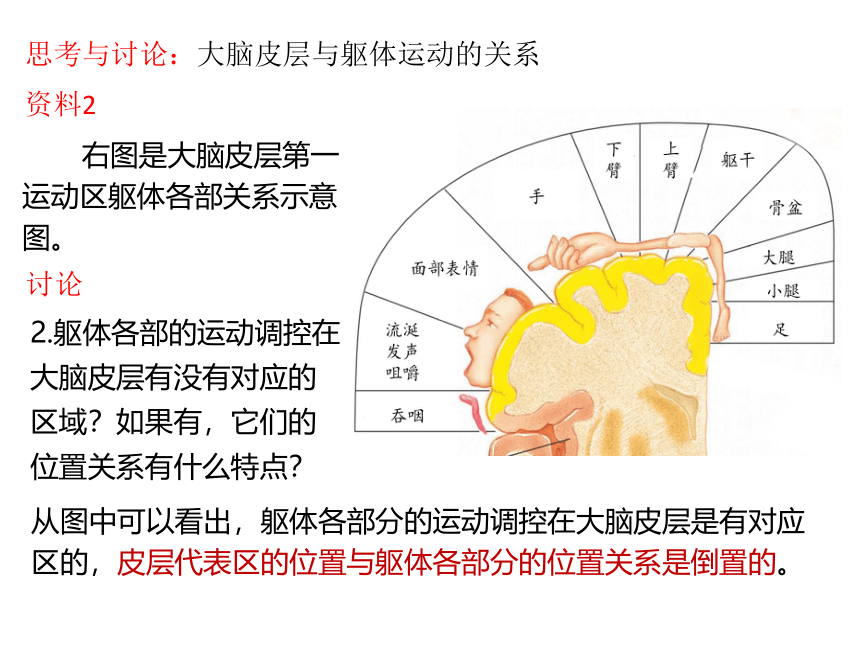 生物人教版（2019）选择性必修1 2.4 神经系统的分级调节（共27张ppt)