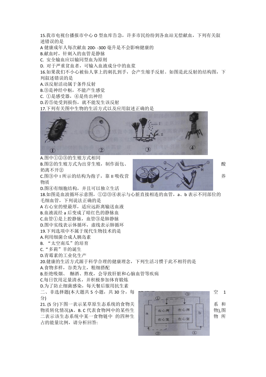 河南省商丘市柘城县2021-2022学年八年级下学期期中考试生物试题（Word版 含答案）