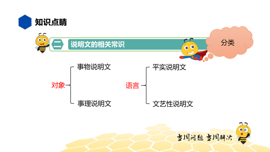 核心素养 语文六年级 【知识精讲】说明文阅读 课件