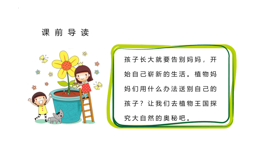 3植物妈妈有办法（课件）(共24张PPT)