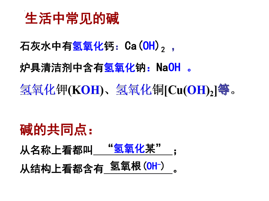 第十单元课题1常见的酸和碱（第1课时）课件(共25张PPT)-2022-2023学年九年级化学人教版下册