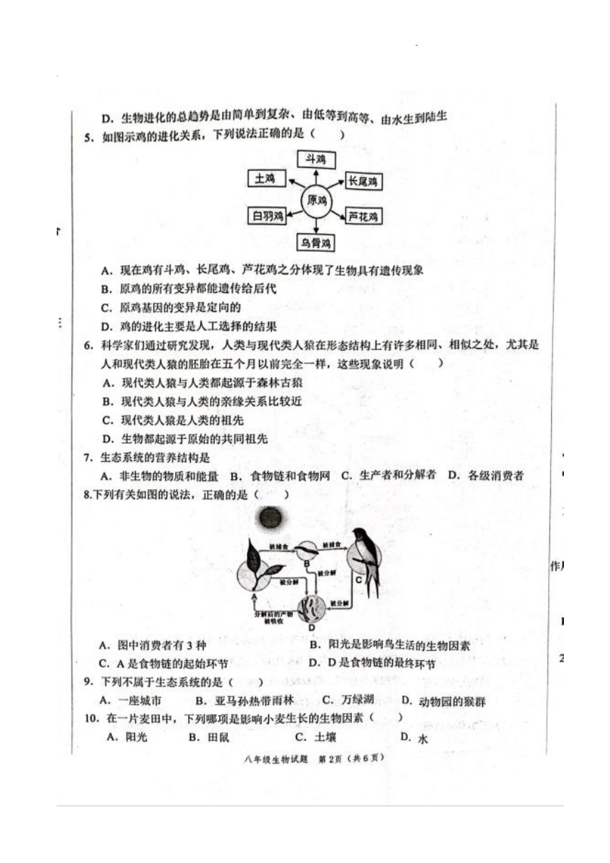 山东省菏泽市鲁西新区2023-2024学年八年级下学期期中生物试题（PDF版无答案）