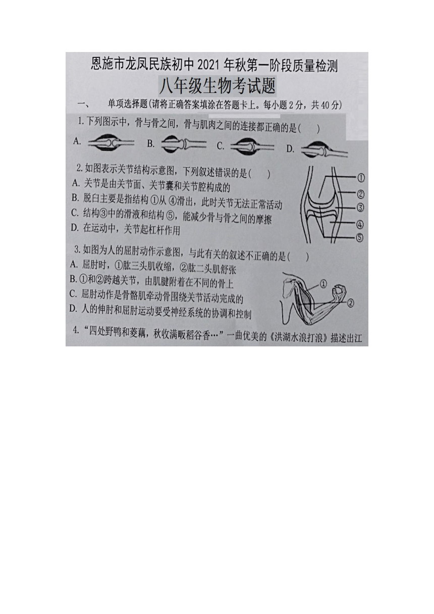 湖北省恩施龙凤初中2021-2022学年上学期八年级第一阶段检测生物试题（含答案）