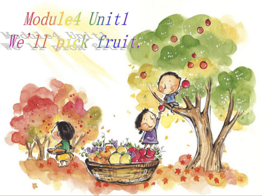Module 4 Unit 1 We'll pick fruit. 课件(共16张PPT)