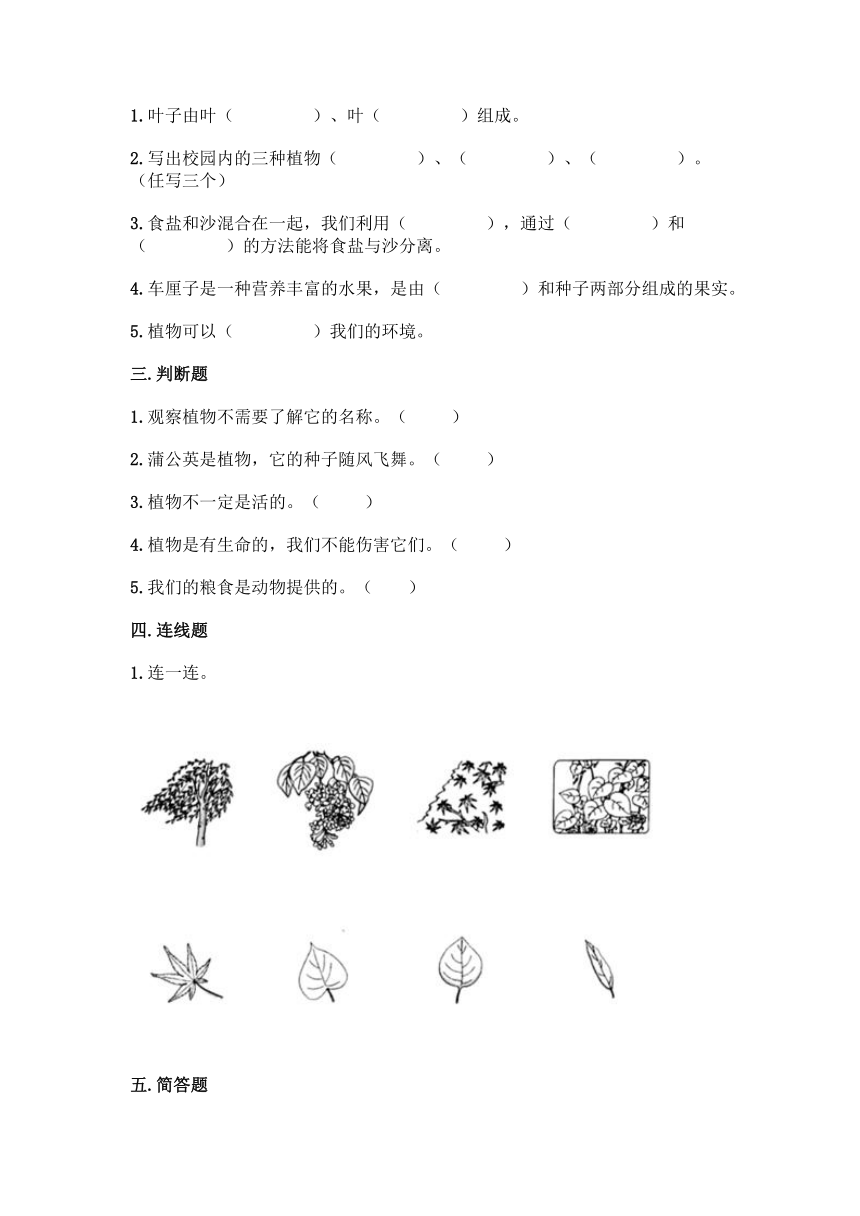 2021-2022学年科学一年级上册第一单元 植物 单元测试卷（含答案）