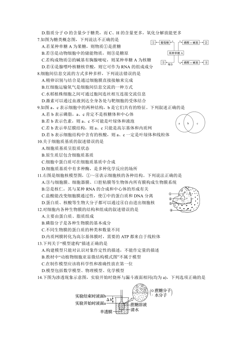 四川省绵阳市涪城区南山双语中学校2021-2022学年高一上学期12月月考生物试题（Word版含答案）