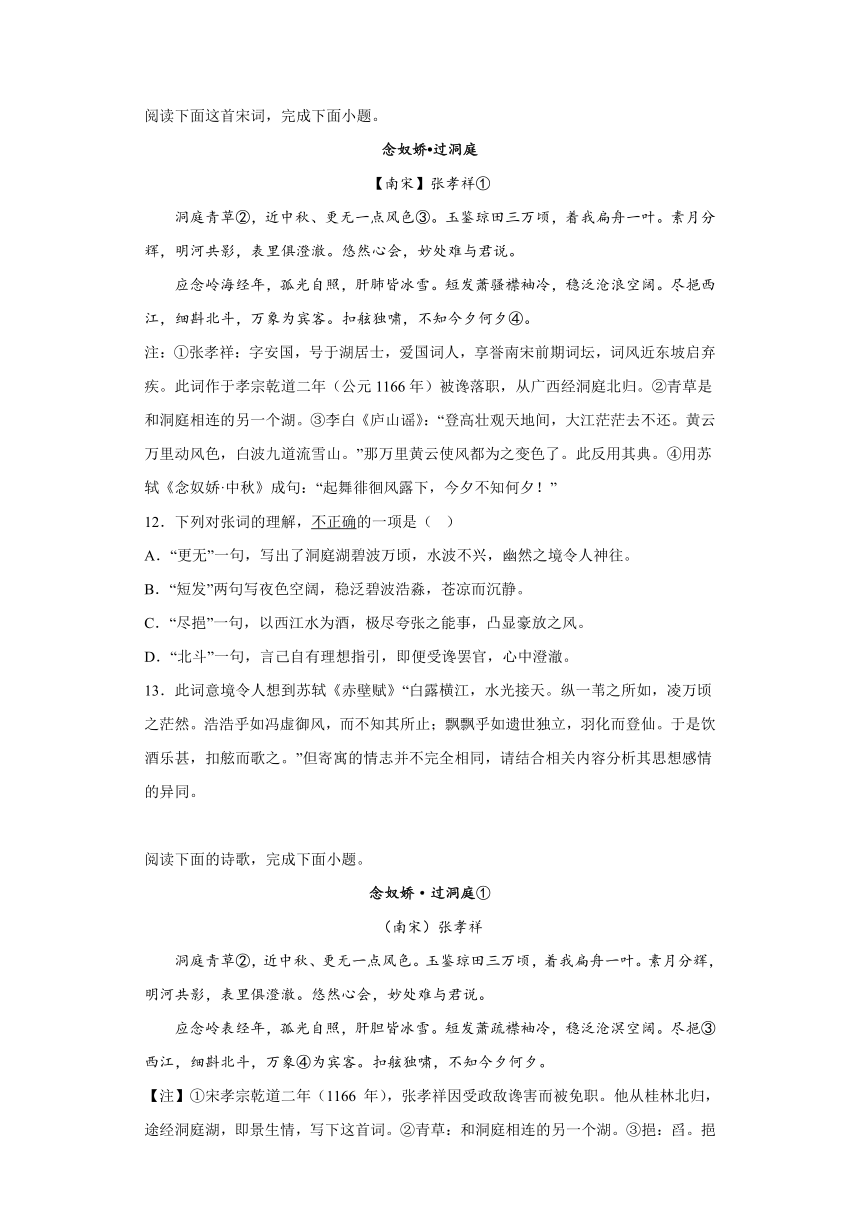 古诗词诵读  念奴娇·过洞庭  课后习题（含答案）-2022-2023学年统编版高中语文必修下册