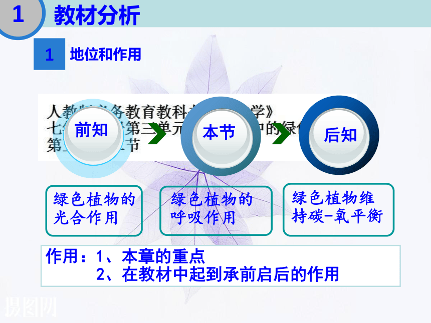 人教版七年级生物上册教学课件-3.5.2绿色植物的呼吸作用（说课课件  共10张PPT）