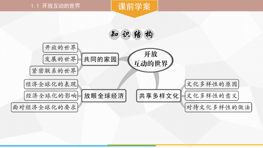 （核心素养目标）1.1 开放互动的世界 课件(共32张PPT) 统编版道德与法治九年级下册