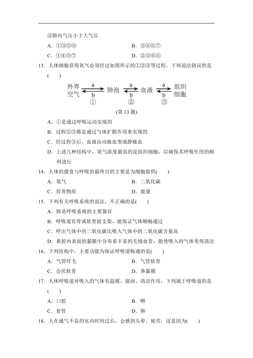 2021-2022学年人教版生物七年级下册第四单元第三章人体的呼吸达标测试卷(word版含解析）