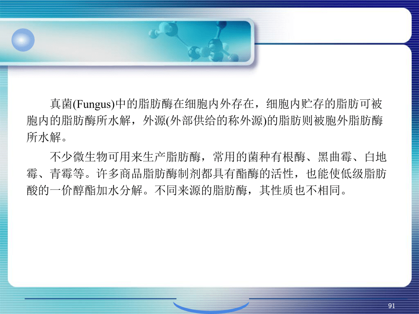 4.细胞内生物分子的新陈代谢_3 课件(共14张PPT）- 《环境生物化学》同步教学（机工版·2020）