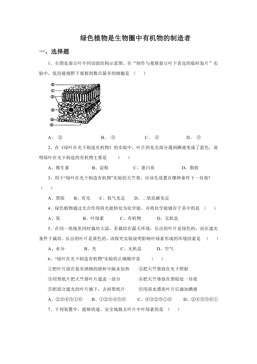 人教版生物七年级上册 3.4《绿色植物是生物圈中有机物的制造者》习题(word版含答案）