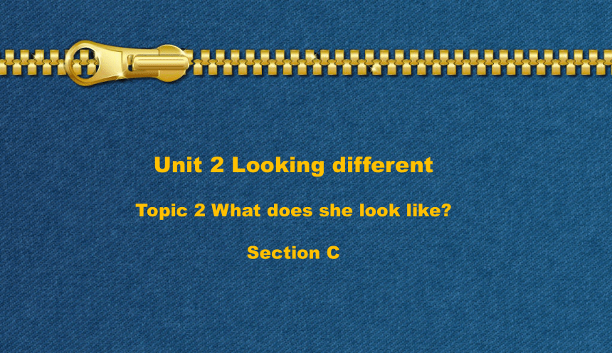 Unit 2 topic2 What does she look like?Section C 课件 (共24张PPT)