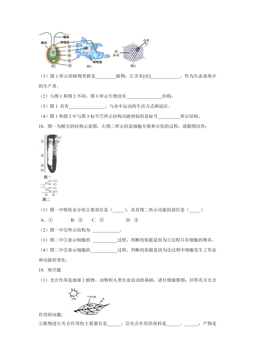 【会考专训】中考生物会考复习专项训练4：细胞怎样构成生物体（含解析）