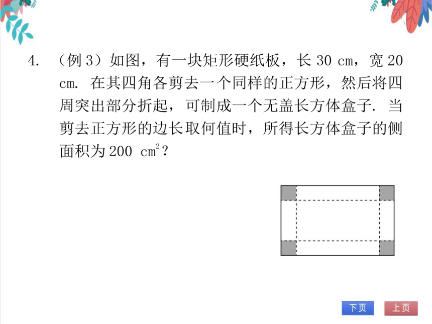 【北师大版】数学九(上) 2.3.3 利用一元二次方程解决面积问题 同步练习本（课件版）