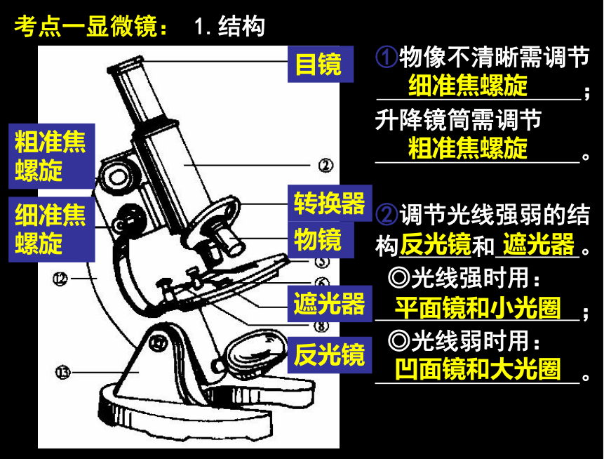 2019专题12：生物技术与显微镜课件(共13张PPT)