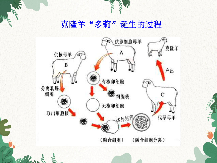 北师大版生物八年级上册 第20章第2节 性状遗传的物质基础 课件(共18张PPT)