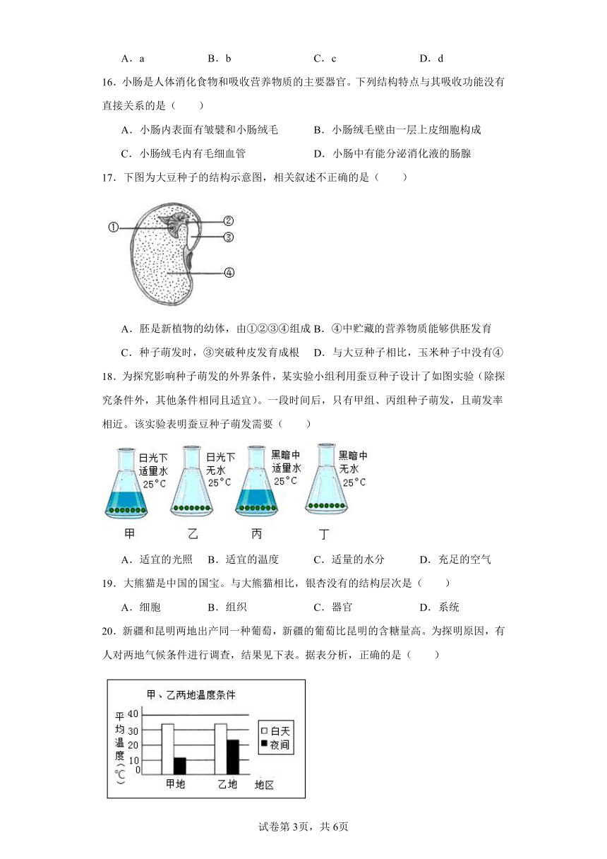 云南中考模拟试卷（含解析）