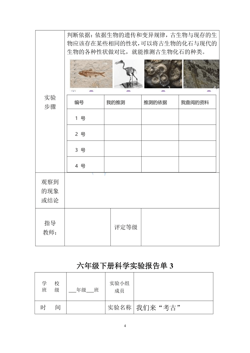 湘科版科学6年级下册实验活动设计