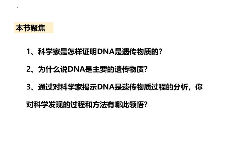 3.1 DNA是主要的遗传物质课件(共31张PPT)-2022-2023学年高一下学期生物人教版（2019）必修2（有视频）