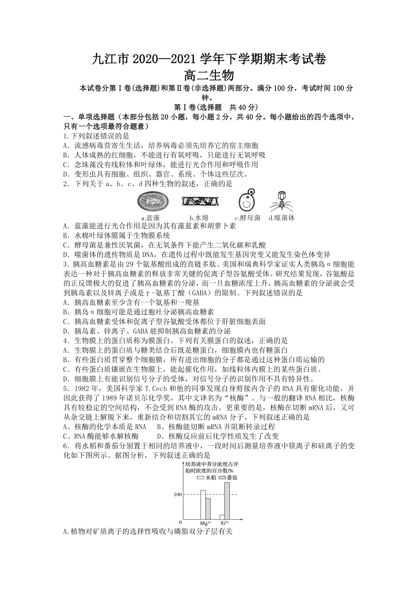 江西省九江市2020-2021学年高二下学期期末考试生物试题 （Word版含答案  ）