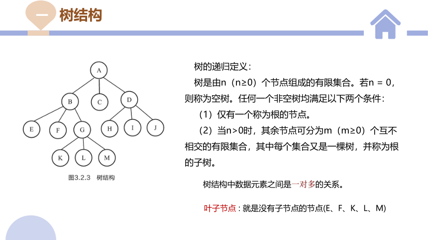 3.2 数据与结构 第二课时 课件(共20张PPT)