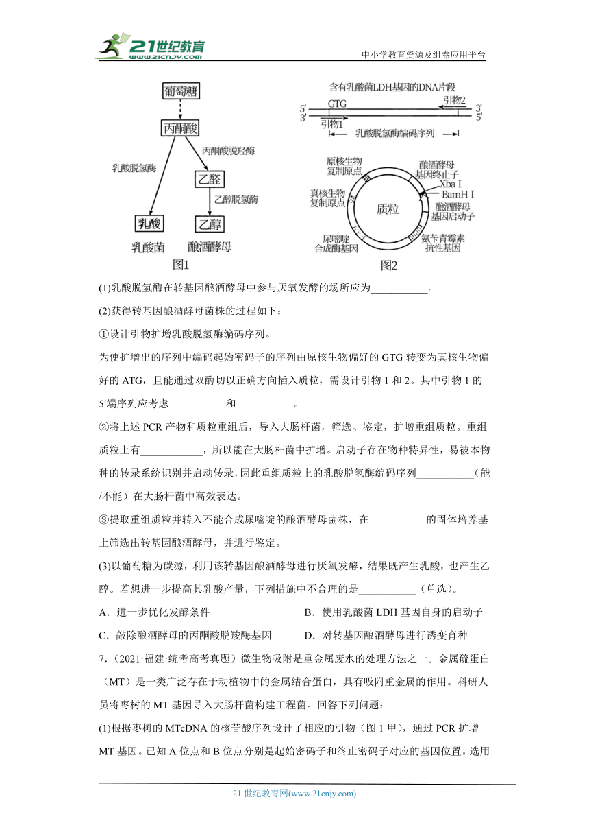 五年2018-2022高考生物真题按知识点分类汇编92-生物技术与工程-基因工程的操作程序综合题（含解析）