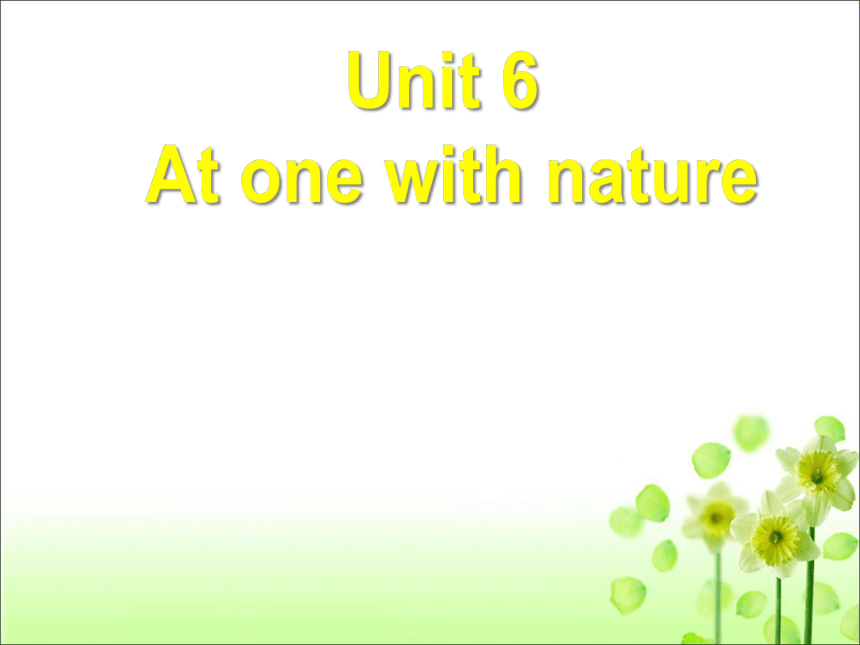 外研版(2019)必修一 Unit 6 At One with Nature Developing ideas 语言点（共24张ppt）