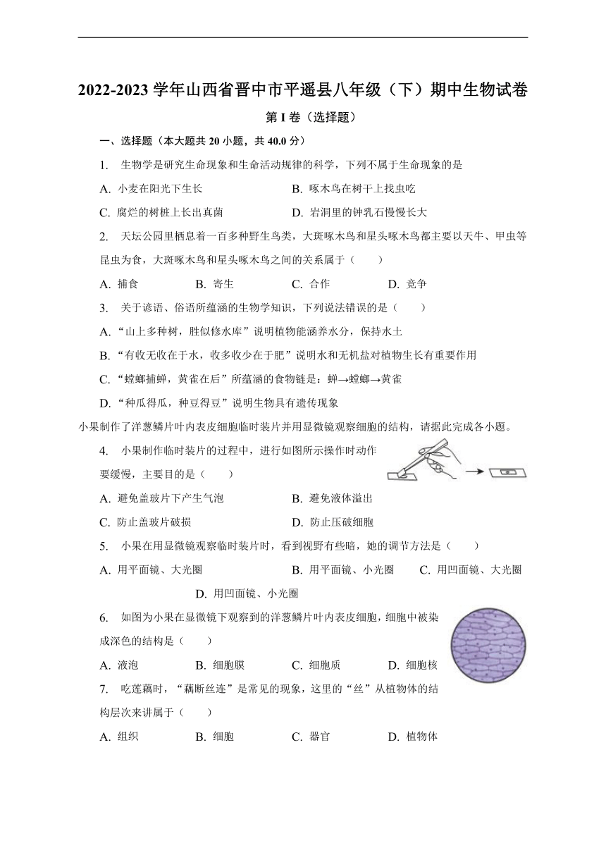 山西省晋中市平遥县2022-2023学年八年级下学期期中生物试卷(含解析)