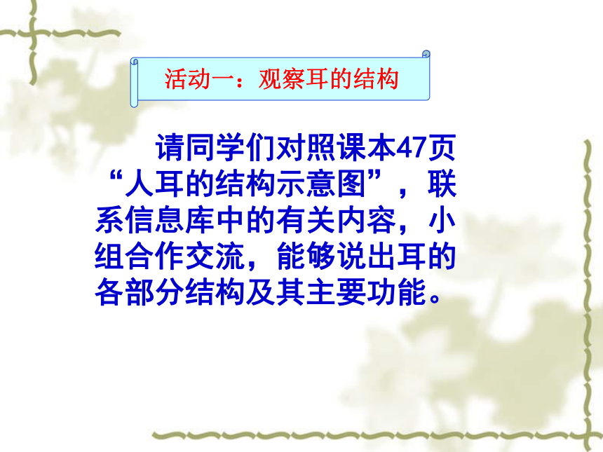 苏科版八上生物 16.2人体外界信息的感知 课件(共23张PPT)