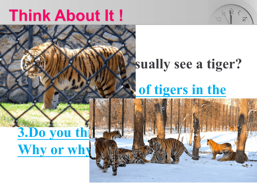 冀教版 八年级下 Unit 3  Lesson 17 Save the Tigers 课件（29张PPT）