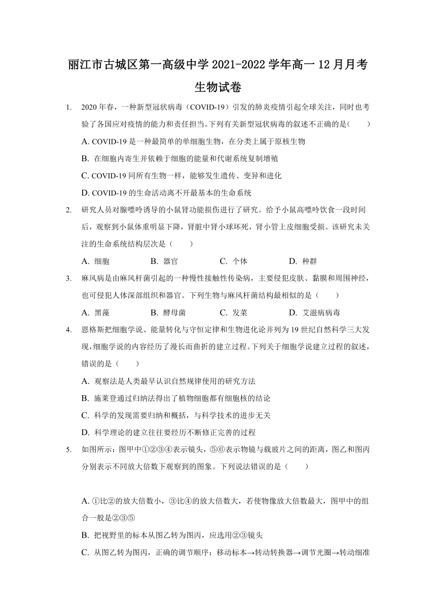 云南省丽江市古城区第一高级中学2021-2022学年高一12月月考生物试卷（Word版含解析）