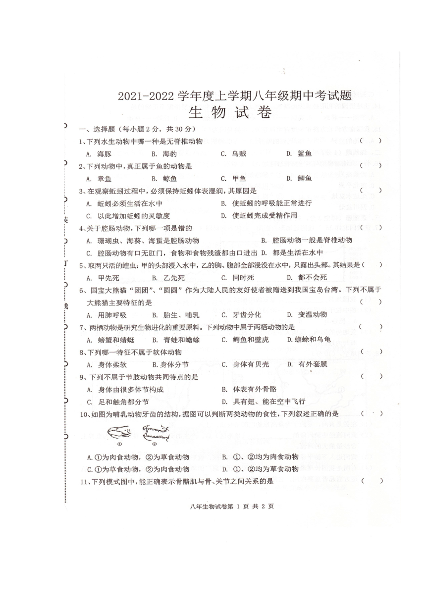 黑龙江省哈尔滨市五常市部分学校2021-2022学年八年级上学期期中联考生物试题（图片版 含答案）