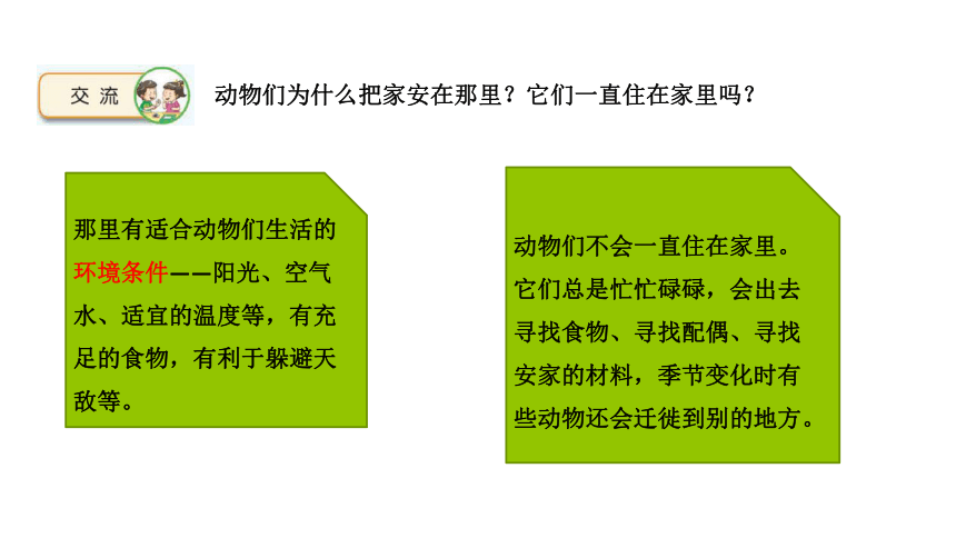 苏教版（2017秋）科学四年级下册 5.16 动物的庇护所 课件（17张PPT）