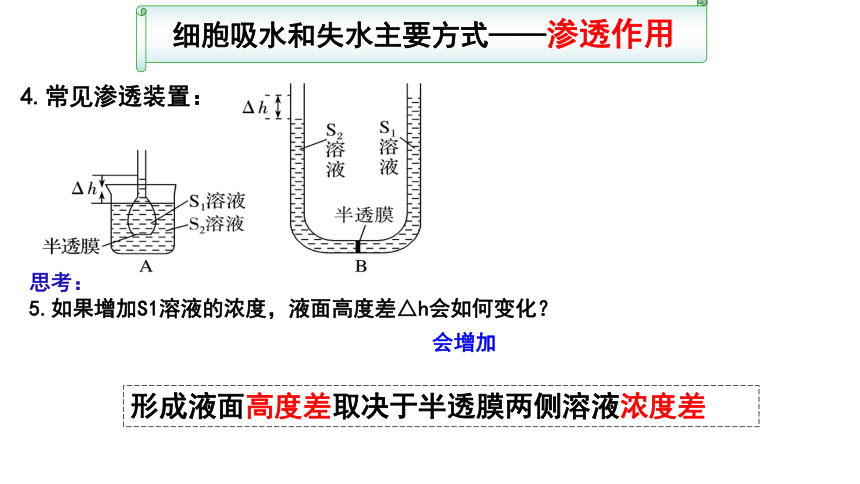 【备考2022一轮复习】&1.4 物质跨膜运输实例及物质运输方式（共52张ppt）