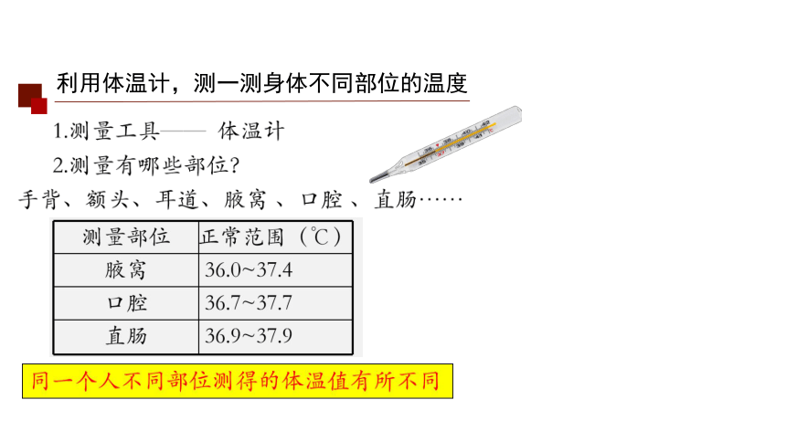 3.5 体温的控制（课件 25张PPT)