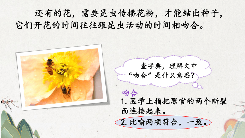 13 花钟 第一课时（课件） (共40张PPT)