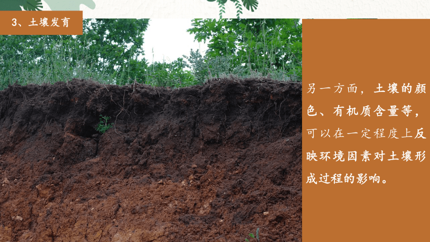 3.4分析土壤形成的原因 课件（55张）