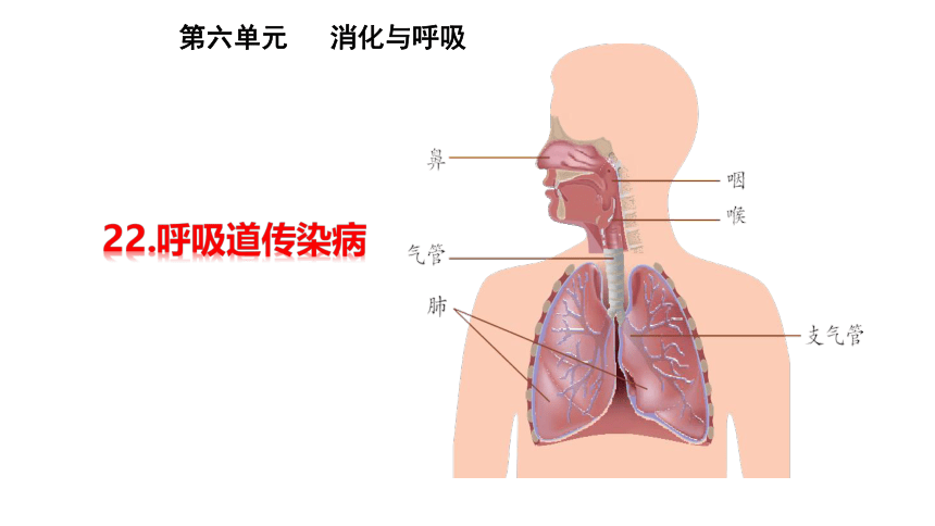 青岛版（六三制2017秋 三年级下册6. 22呼吸道传染病 （课件13ppt）