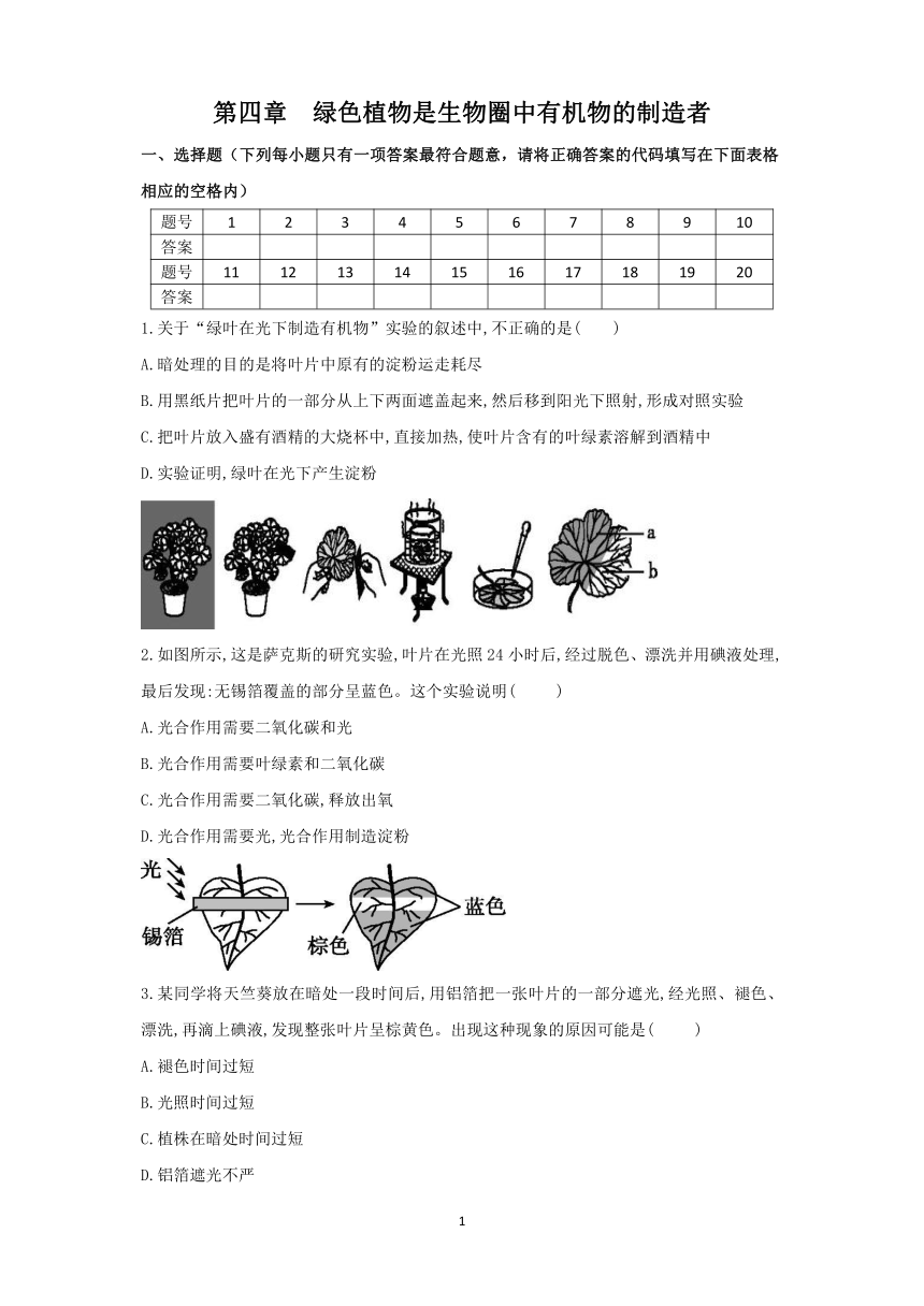 3.4绿色植物是生物圈中有机物的制造者 同步练习(word版含答案）