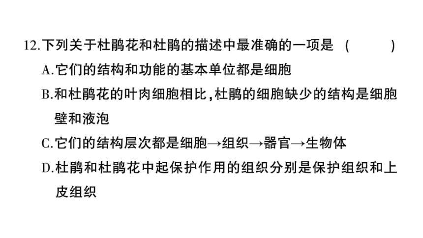 湖南吉首市第二初级中学2022-2023学年七年级生物上册期末综合检测卷课件（41张PPTt)