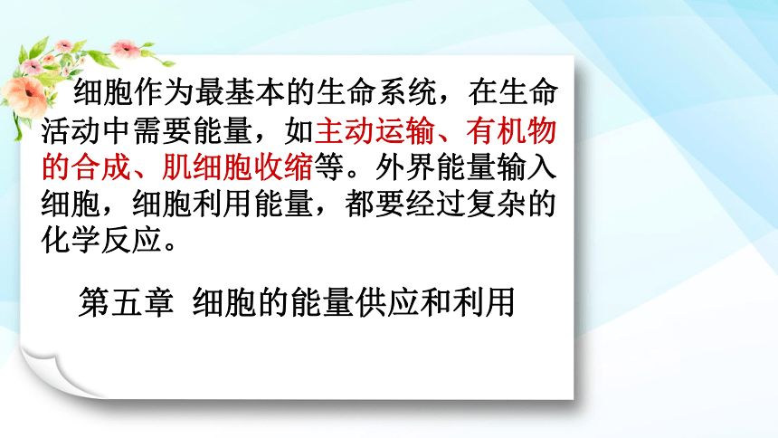 高中生物人教版（2019）必修1第5章  第1节 降低化学反应活化能的酶 课件( 47张PPT)