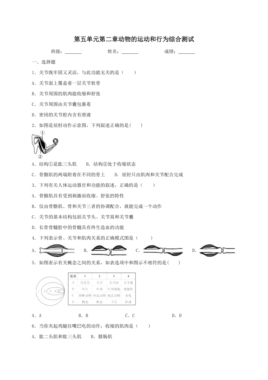 人教版生物八年级上册第五单元第二章动物的运动和行为综合测试（word版含答案）