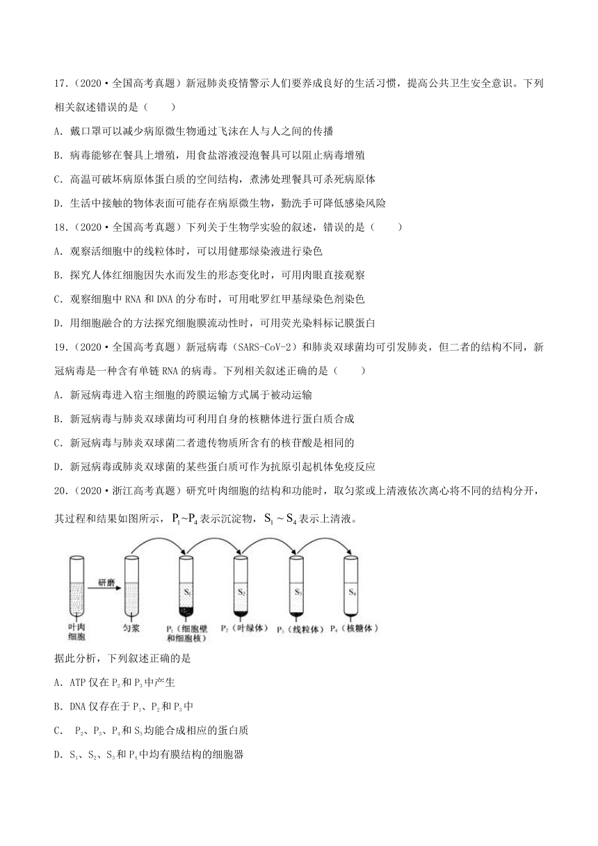 2022年高考生物三年高考真题及模拟题分类汇编：细胞的结构与功能  （Word版含解析）