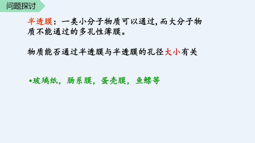 2021—2022学年 高一上学期 人教版（2019）必修1    4.1 被动运输   课件（33张）