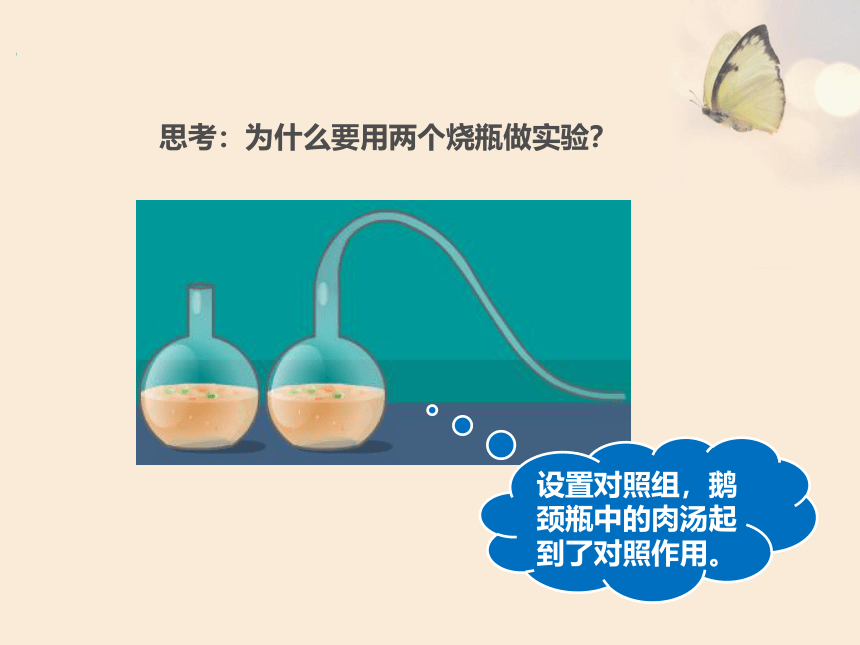 1-1-2生物学的基本研究方法---科学探究的的基本过程课件(共30张PPT)2022-2023学年苏科版生物七年级上册