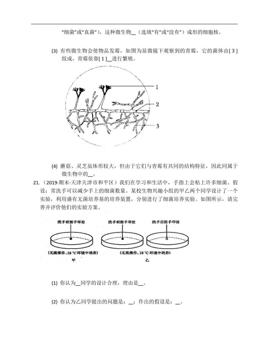 人教版八年级生物上册第五单元第四章细菌和真菌单元练习（Word版含解析）